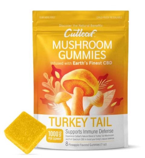 Turkey Tail 1000MG MUSHROOM GUMMIES Turkey Tail 1000MG MUSHROOM GUMMIES
